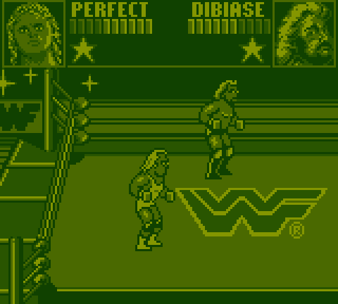 WWF Superstars
